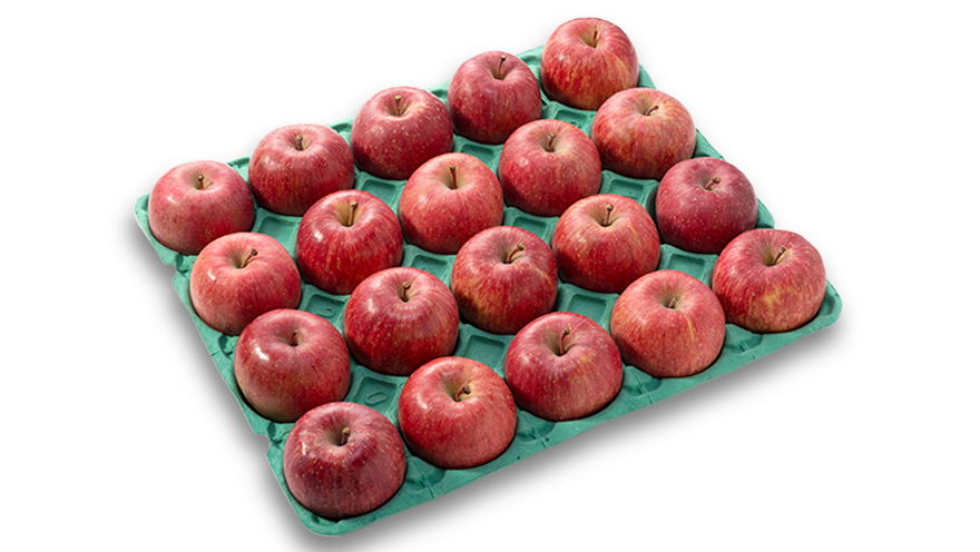 Food and Beverage Banner