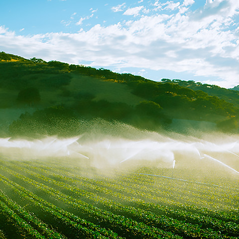 The delivery of water is a complex challenge involving tremendous distances from water source to agricultural end-users. Mitsubishi Electric's technologies provide automation solutions that deliver water where and when it is needed in the correct quantities, with minimal loss.